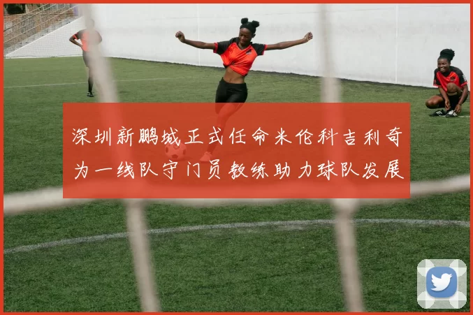 深圳新鹏城正式任命米伦科吉利奇为一线队守门员教练助力球队发展